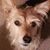 Michele Mignerey's profile image