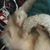 Lisa Bryant Allman's profile image