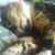 Michelle Hayward's profile image