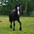Kim Vandemark's profile image