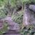 Tai Chen Ye's profile image