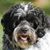 Dan Stambaugh's profile image