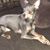 Jo Boak Guptill's profile image