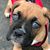 Dorothy Peters's profile image