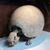 halestorm01's profile image