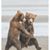 Sandi Kensicki's profile image