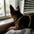 Christina Marie Tedder's profile image
