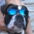 Lance Frerichs's profile image