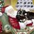 Debbie Lee Kolesar Smith's profile image