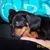 Alice Wall Miller's profile image