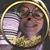 April G.'s profile image