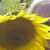 Kathy Crabbe-Kandel's profile image