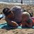 Tom Hochdorfer's profile image