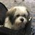 Liz G Markey's profile image