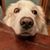 Richard Taft's profile image