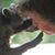 Sarah Pinfield's profile image