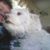 Amy Smith's profile image