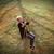 Cheryl G. Oliver's profile image