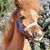 Patricia Turensky's profile image
