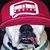 Eric Allen's profile image