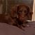 Kim Childers's profile image
