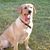 Glenda Cosper Land's profile image