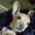 Ellen Tronolone's profile image