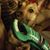 Rob Goldberg's profile image