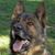 Nichole Wilson's profile image