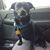 Scott Naden's profile image