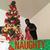 Jamal Terrell Caul's profile image
