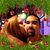 Dawn Hardy's profile image