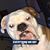 Joni Heinrich's profile image