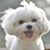 Joan Leaver's profile image