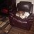 Russ N Olivia Ramey's profile image
