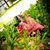 Angie Romero Oubre's profile image