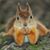 Jodi Landon's profile image