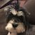 Izzy Carnes's profile image
