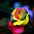Aya Ahmad's profile image