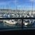 Kim L Sprague's profile image