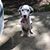 Donald L. Balch's profile image