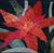 Traci Kilby's profile image