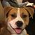 Teri Foster's profile image