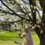 Lyn Burdine's profile image