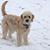 Karie Smith Byerly's profile image