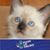 Dorothy Ricks's profile image