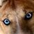 Kat Carroll's profile image
