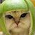 Linda L Candido-Pipta's profile image