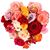 Michaelene Windbiel Setlow's profile image