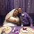 Christian Fernandez's profile image